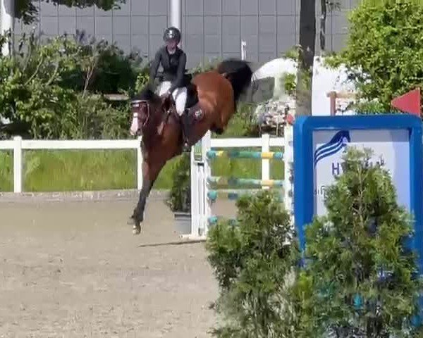 Video of Joy 439