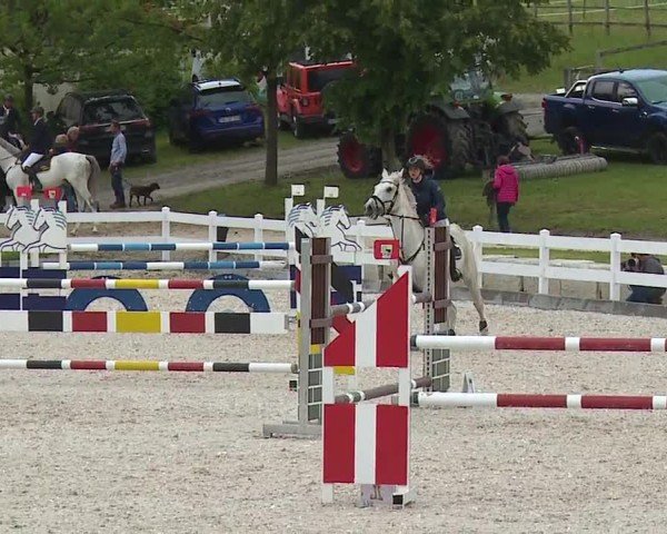 Reitturnier Gut Bohmerhof-Wackersberg/Obb. 2024