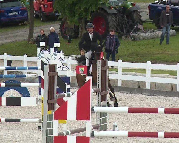 Reitturnier Gut Bohmerhof-Wackersberg/Obb. 2024