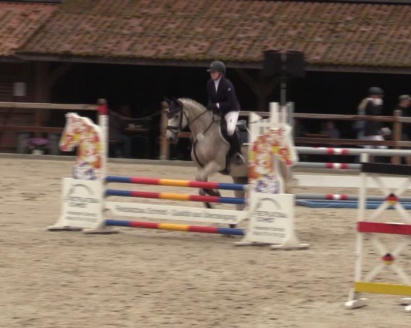 Reitturnier Alvern 2024