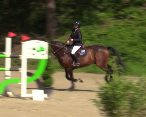 Reitturnier Letmathe 2024