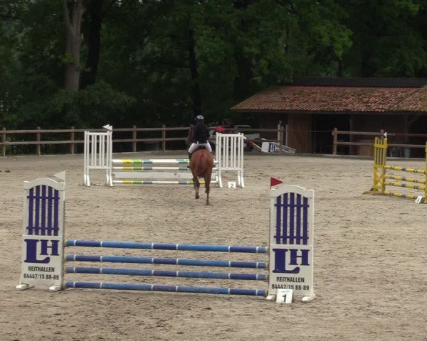Reitturnier Alvern 2024