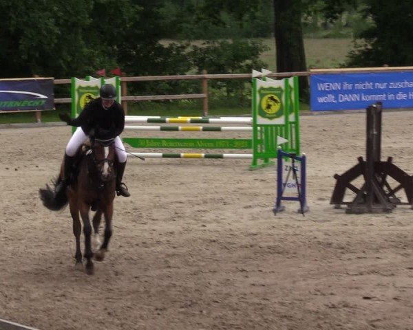 Reitturnier Alvern 2024
