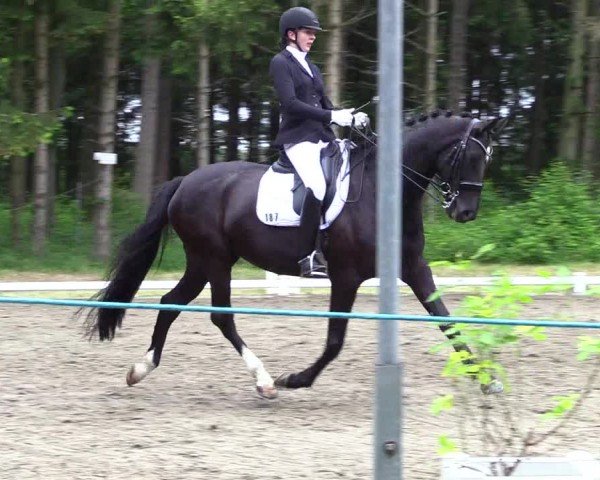 Reitturnier Kellinghusen  2024