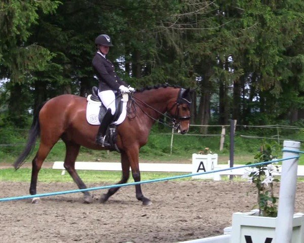 Reitturnier Kellinghusen  2024