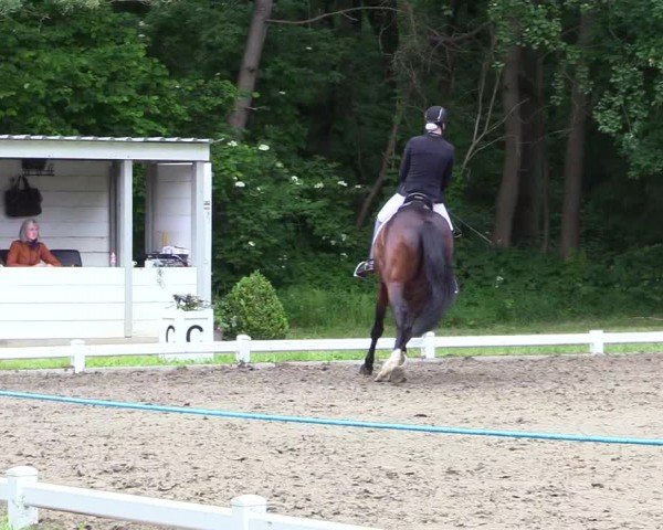 Reitturnier Kellinghusen  2024
