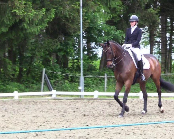 Reitturnier Kellinghusen  2024