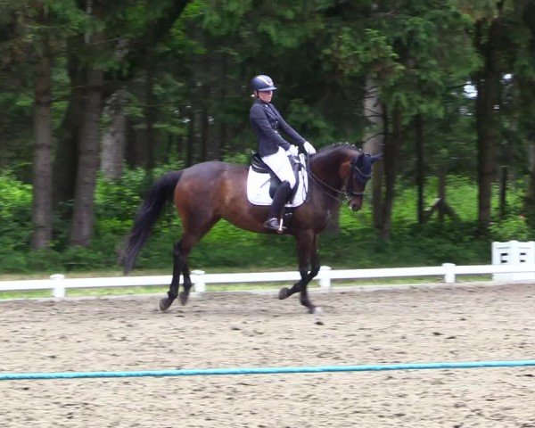 Reitturnier Kellinghusen  2024