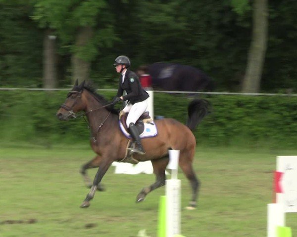Reitturnier Jülich 2024
