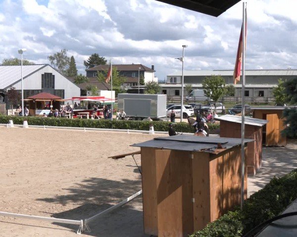 Reitturnier Bornheim-Widdig 2024
