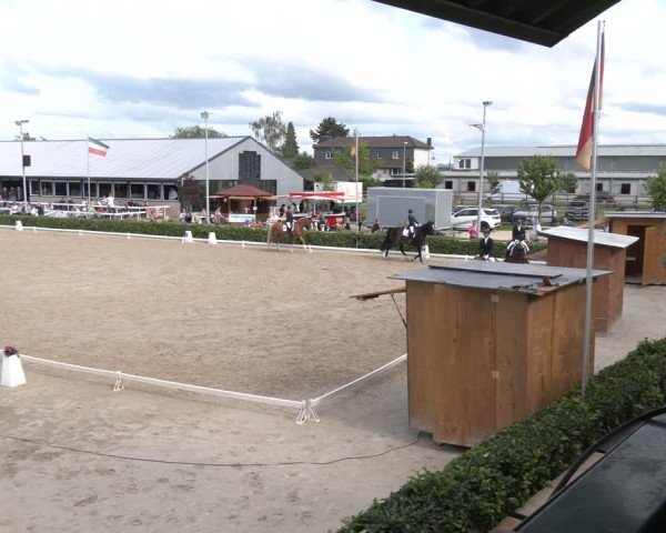 Reitturnier Bornheim-Widdig 2024