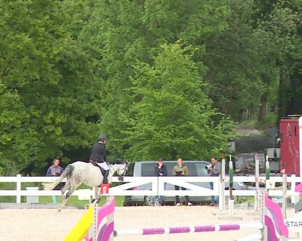 Reitturnier Gut Bohmerhof-Wackersberg/Obb. 2024