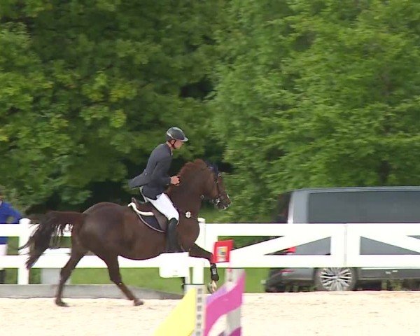 Reitturnier Gut Bohmerhof-Wackersberg/Obb. 2024