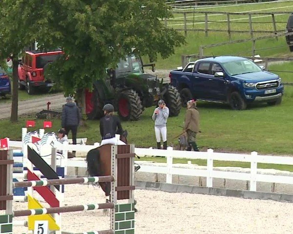 Reitturnier Gut Bohmerhof-Wackersberg/Obb. 2024