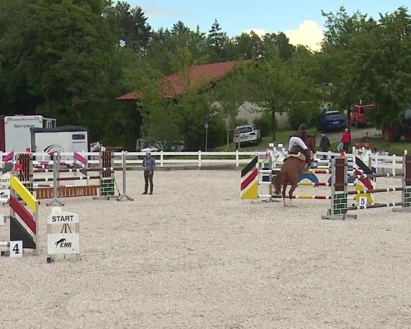 Reitturnier Gut Bohmerhof-Wackersberg/Obb. 2024
