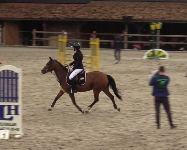 Reitturnier Alvern 2024