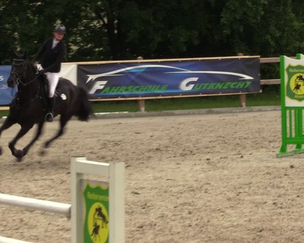 Reitturnier Alvern 2024