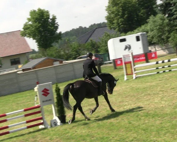 Reitturnier Buckow bei Beeskow (LOS) 2024
