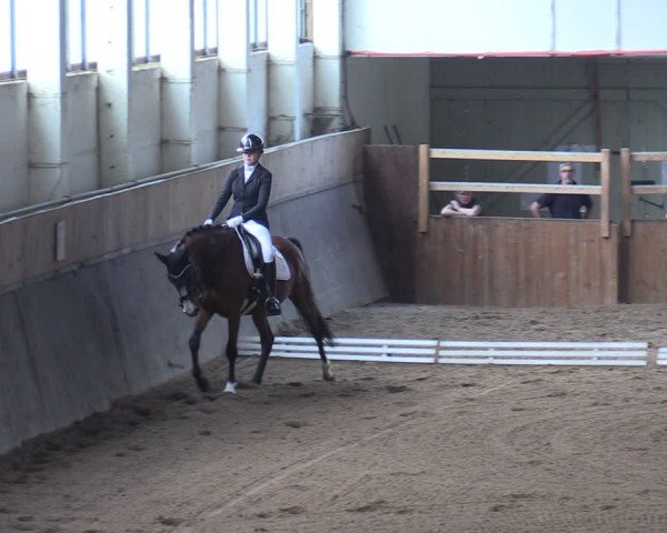 Reitturnier Kakerbeck 2024