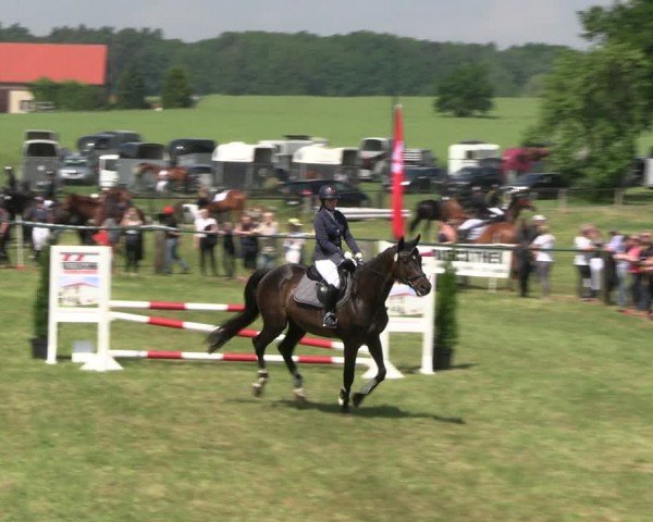 Reitturnier Buckow bei Beeskow (LOS) 2024
