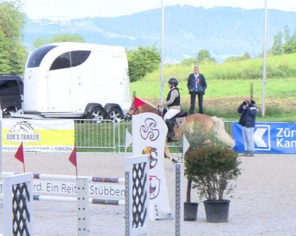 Reitturnier Meilen 2024
