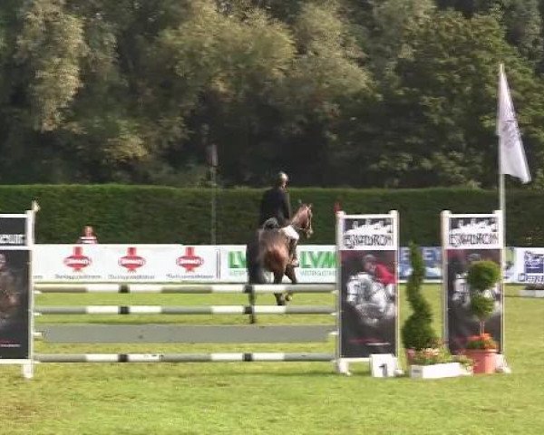 Westfalen-Woche 2012 Münster Handorf