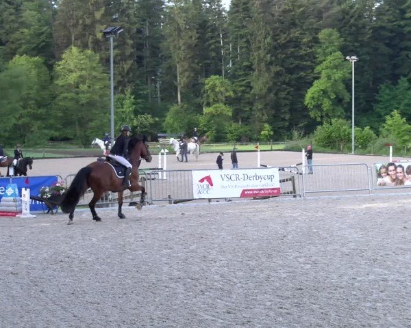 Reitturnier Meilen 2024