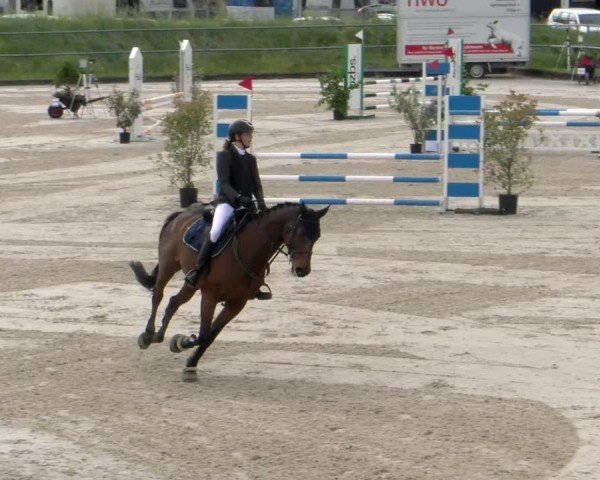 Reitturnier Werdenberg 2024