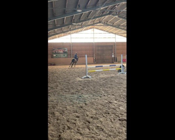 Video of Casscolle Ask E