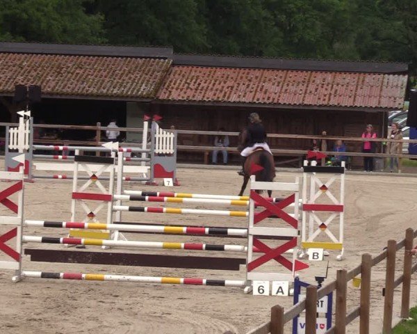 Reitturnier Alvern 2024