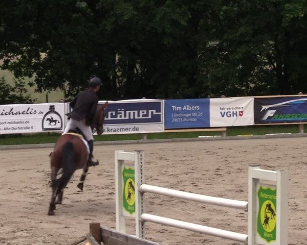 Reitturnier Alvern 2024