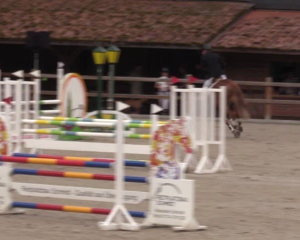 Reitturnier Alvern 2024