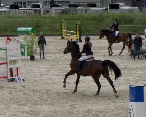 Reitturnier Werdenberg 2024