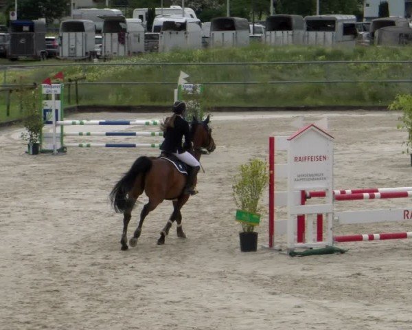 Reitturnier Werdenberg 2024