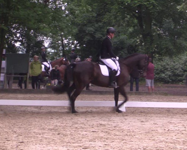 Reitturnier Königsborn 2024
