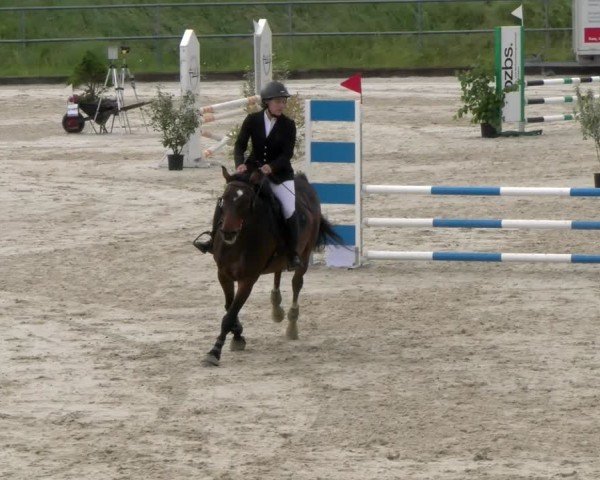 Reitturnier Werdenberg 2024