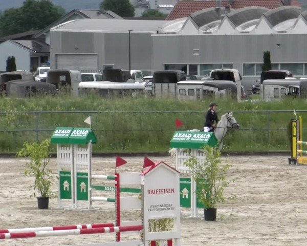 Reitturnier Werdenberg 2024