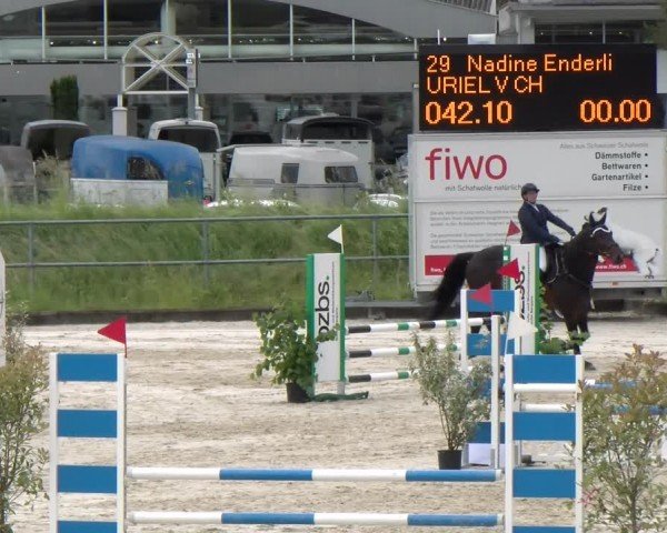 Reitturnier Werdenberg 2024