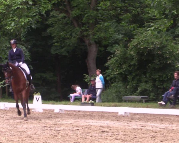 Reitturnier Königsborn 2024
