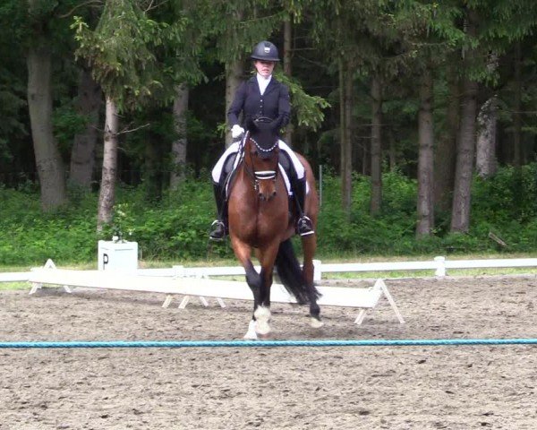 Reitturnier Kellinghusen  2024