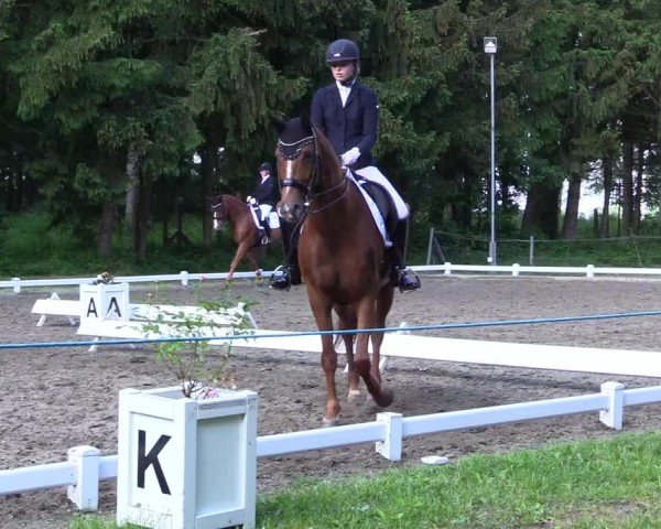 Reitturnier Kellinghusen  2024