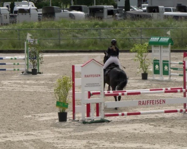 Reitturnier Werdenberg 2024