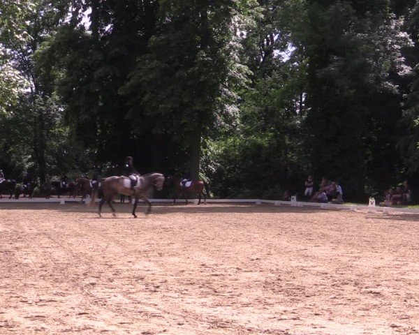 Reitturnier Königsborn 2024