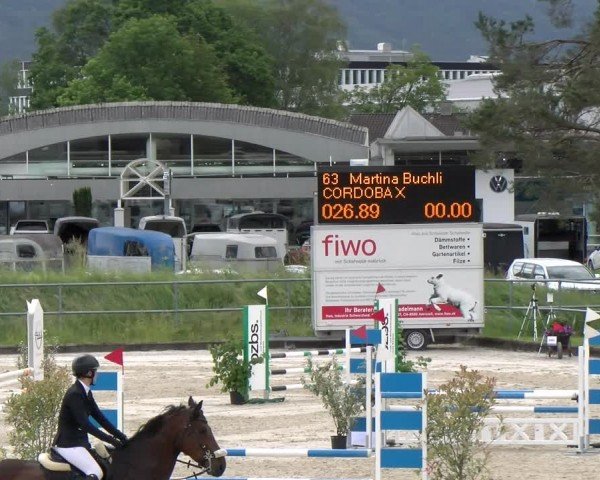 Reitturnier Werdenberg 2024