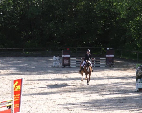 Reitturnier Königsbrunn-Ulrichshof/Schw. 2024