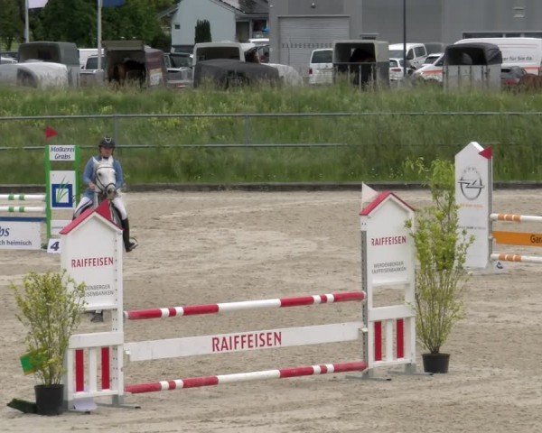 Reitturnier Werdenberg 2024