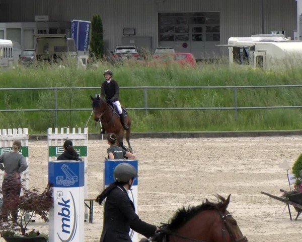 Reitturnier Werdenberg 2024