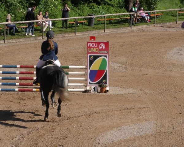 Reitturnier Königsbrunn-Ulrichshof/Schw. 2024