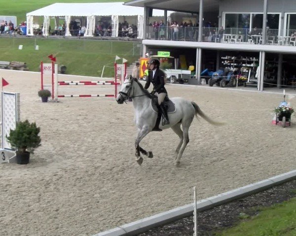Reitturnier Meilen 2024