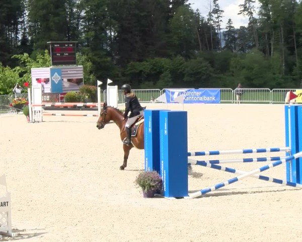 Reitturnier Meilen 2024
